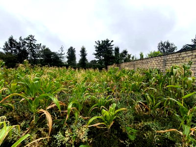 Eighth Acre Plot in Rimpa, Ongata Rongai in a Gated Estate - Image 3