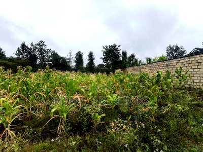 Eighth Acre Plot in Rimpa, Ongata Rongai in a Gated Estate - Image 5