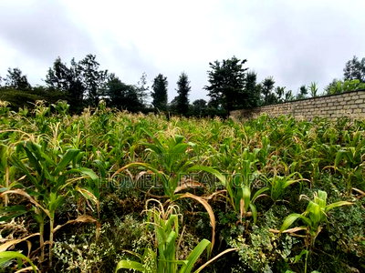 Eighth Acre Plot in Rimpa, Ongata Rongai in a Gated Estate - Image 2