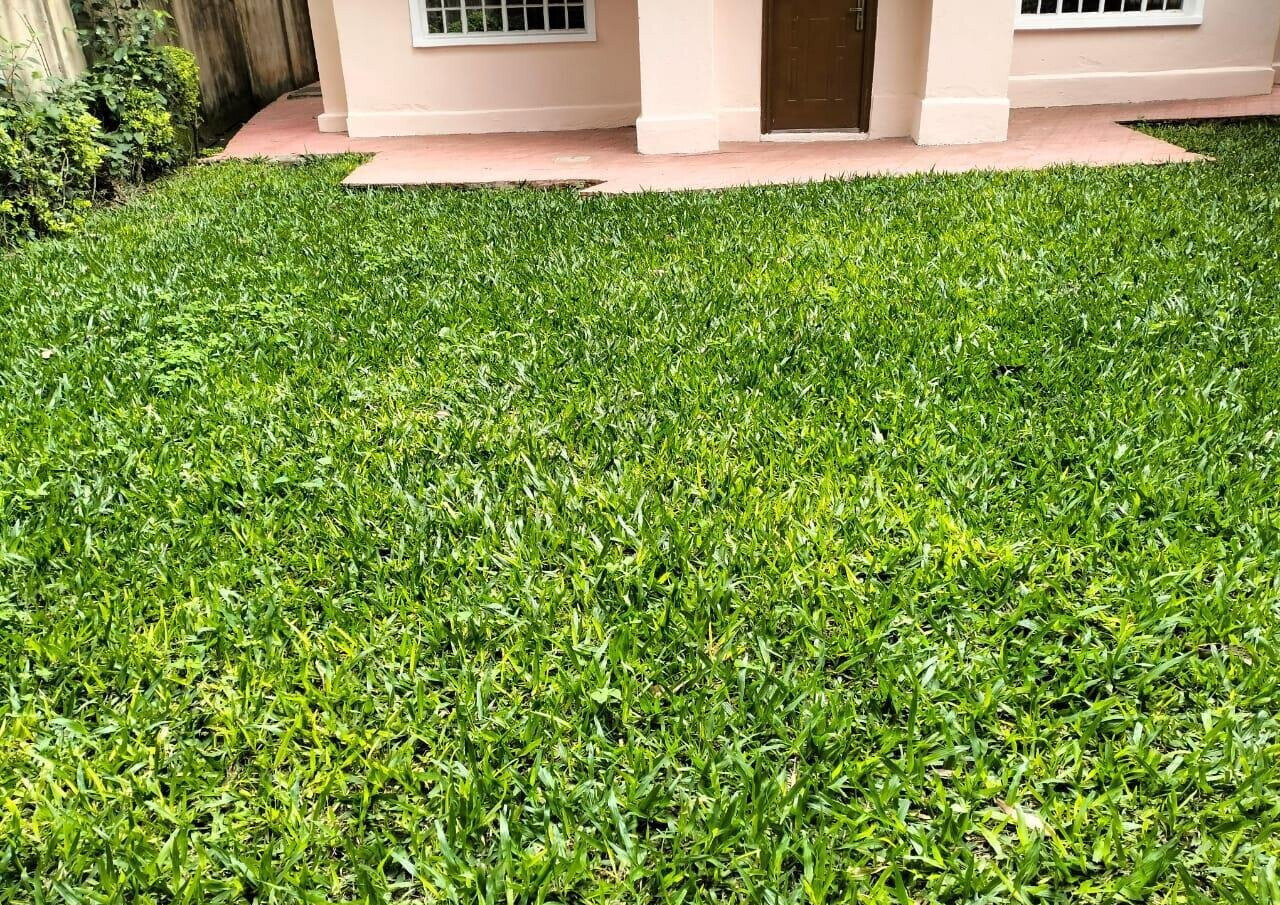 5-Ensuite Townhouse with Borehole & Backup Generator - Lavington