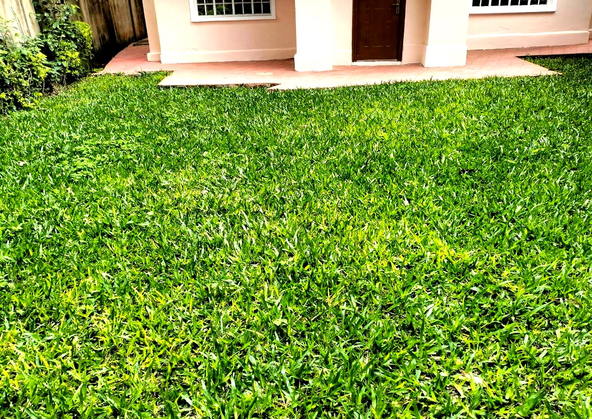 5-Ensuite Townhouse with Borehole & Backup Generator - Lavington