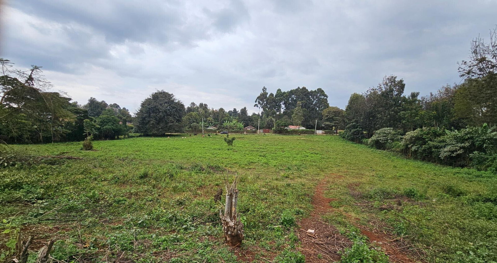 Pet Friendly 50x100 Plot in Thogoto
