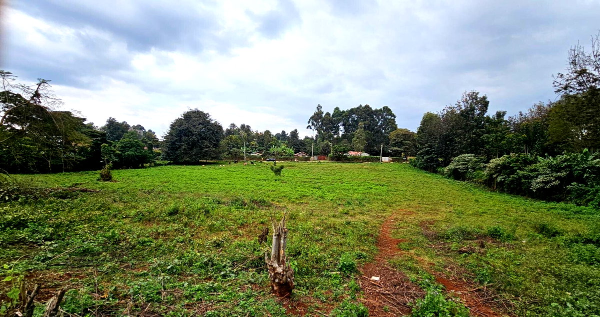 Pet Friendly 50x100 Plot in Thogoto