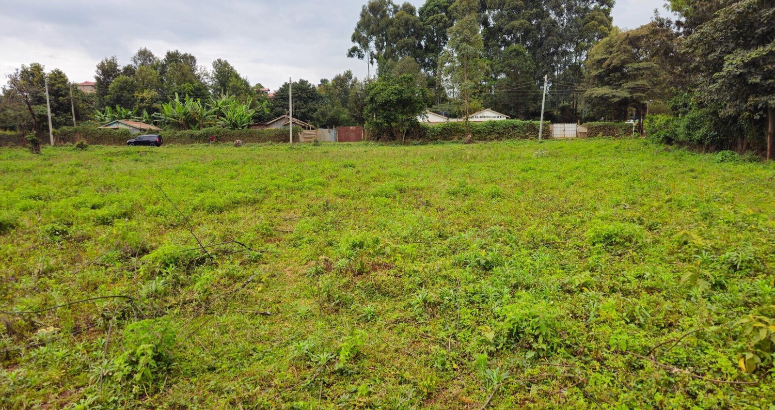 Pet Friendly 50x100 Plot in Thogoto