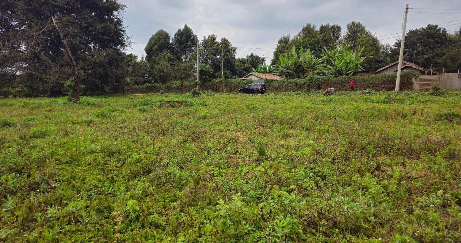 Pet Friendly 50x100 Plot in Thogoto