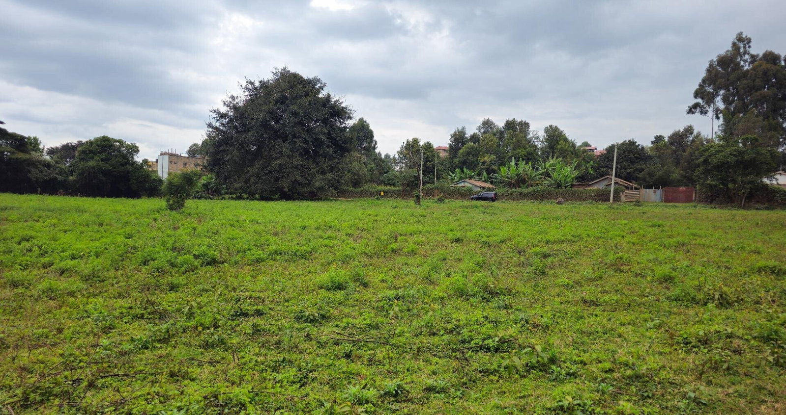 Pet Friendly 50x100 Plot in Thogoto