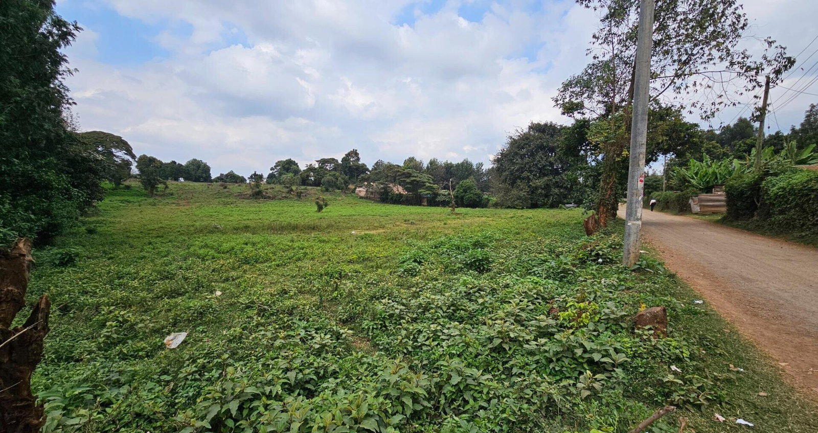 Pet Friendly 50x100 Plot in Thogoto
