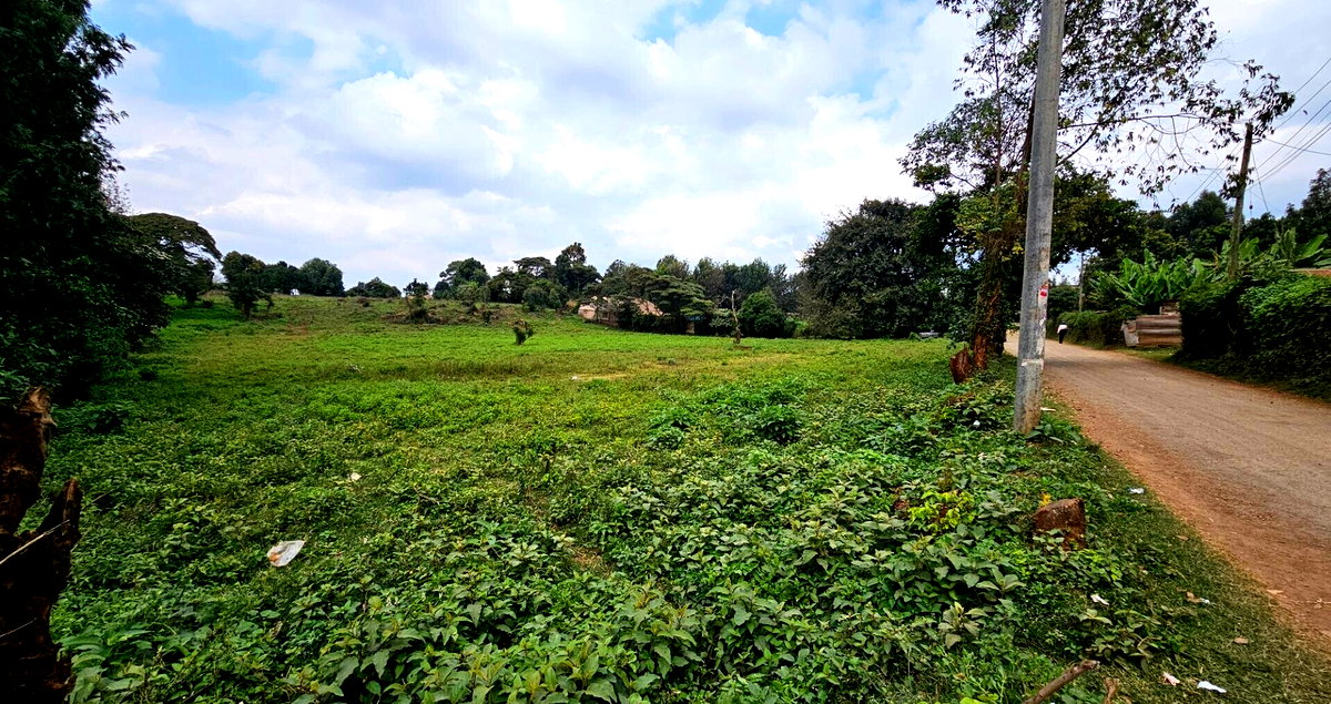 Pet Friendly 50x100 Plot in Thogoto