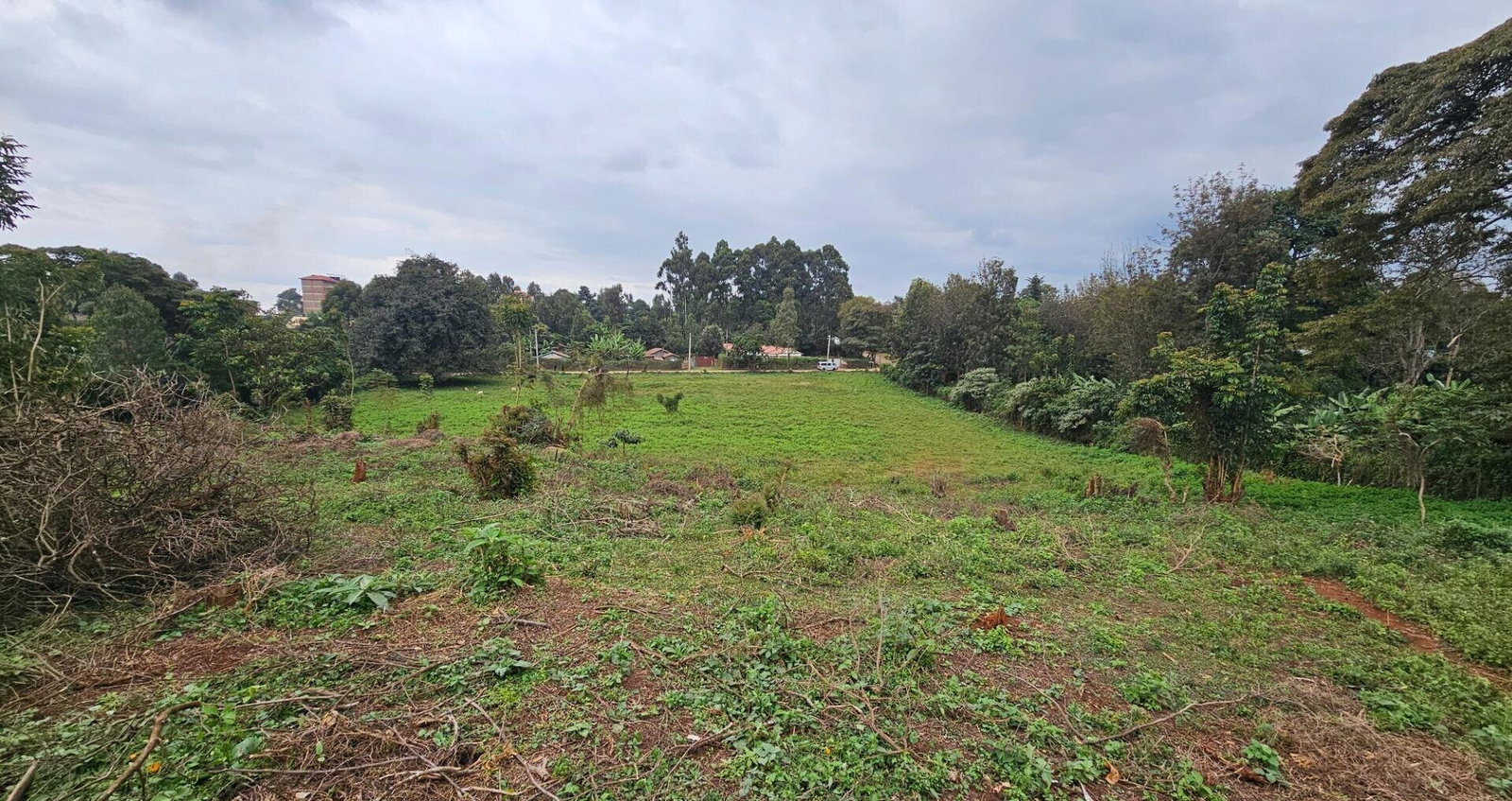 Pet Friendly 50x100 Plot in Thogoto