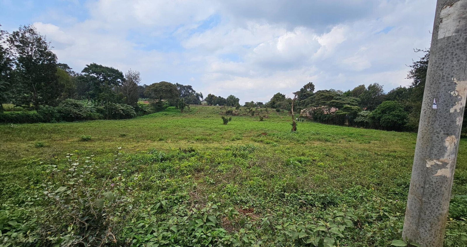 Pet Friendly 50x100 Plot in Thogoto