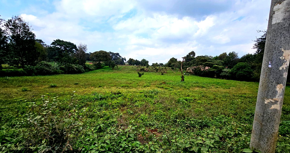 Pet Friendly 50x100 Plot in Thogoto