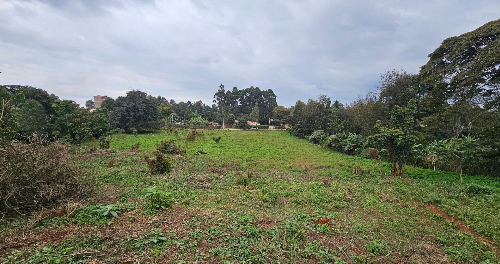 Pet Friendly 50x100 Plot in Thogoto
