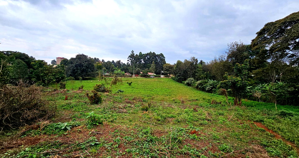 Pet Friendly 50x100 Plot in Thogoto
