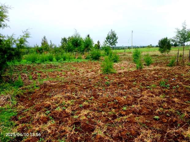 Plot on Sale