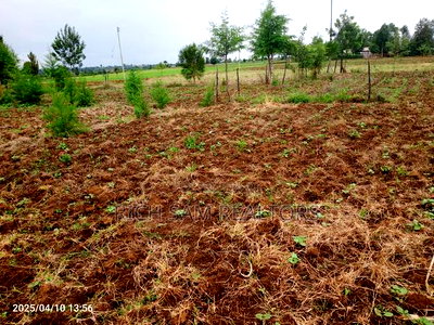 Plot on Sale - Image 6