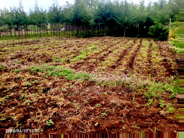 Plot on Sale