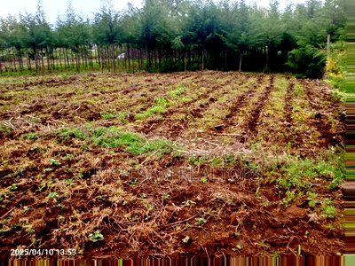 Plot on Sale - Image 1