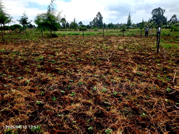 Plot on Sale