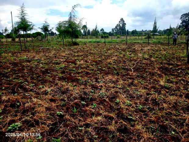 Plot on Sale