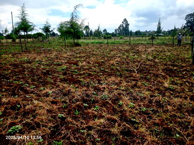 Plot on Sale - Image 5