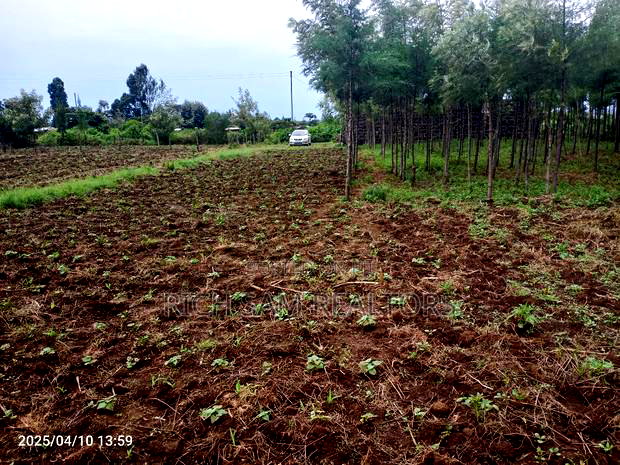 Plot on Sale