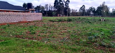 Big 1/4 Plot for Sale in Royalton Eldoret - Image 4