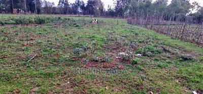 Big 1/4 Plot for Sale in Royalton Eldoret - Image 6