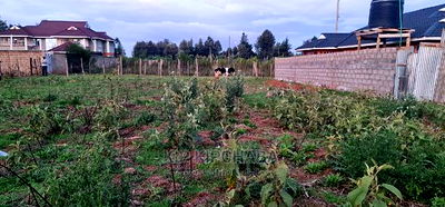 Big 1/4 Plot for Sale in Royalton Eldoret - Image 3