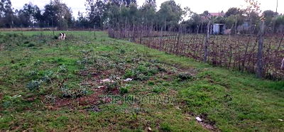 Big 1/4 Plot for Sale in Royalton Eldoret - Image 2