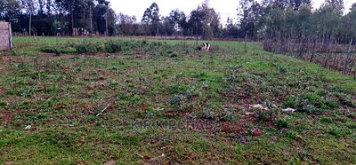 Big 1/4 Plot for Sale in Royalton Eldoret - Image 5