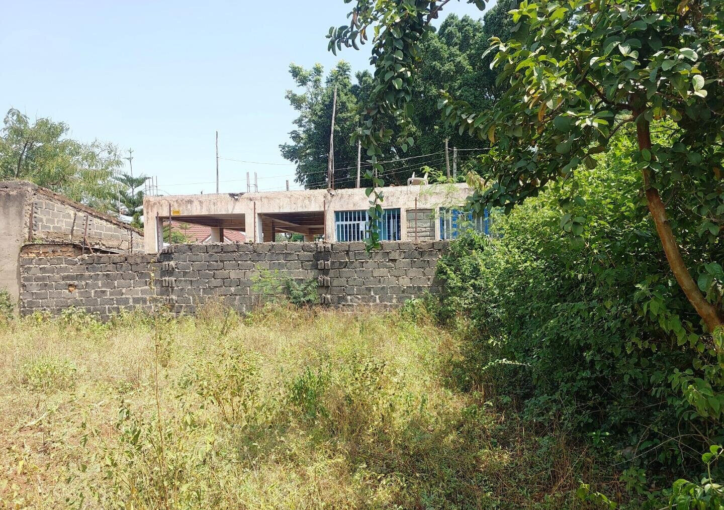 KSh 2.5M Mamboleo Plot
