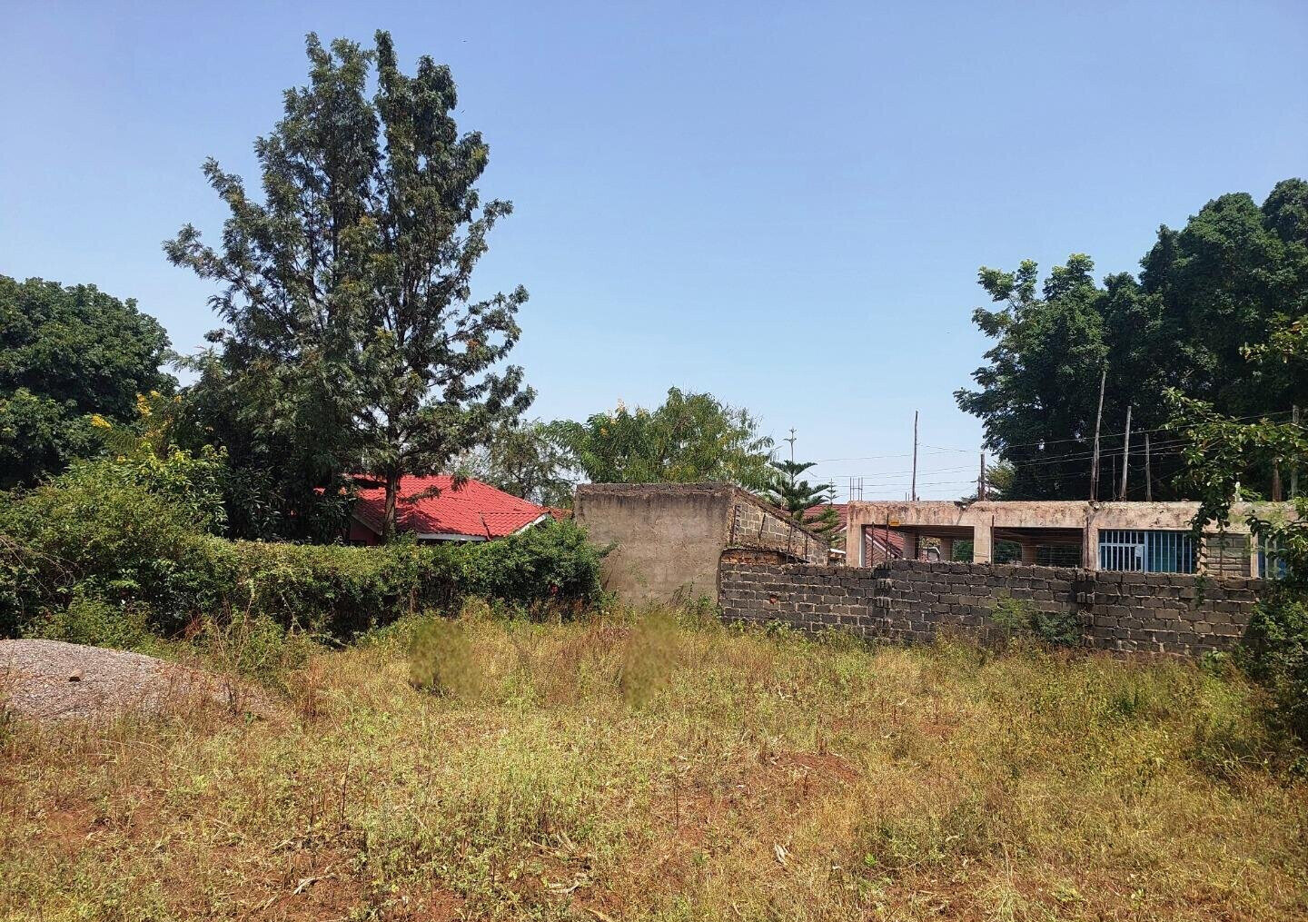 KSh 2.5M Mamboleo Plot