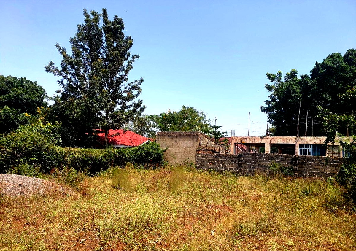 KSh 2.5M Mamboleo Plot
