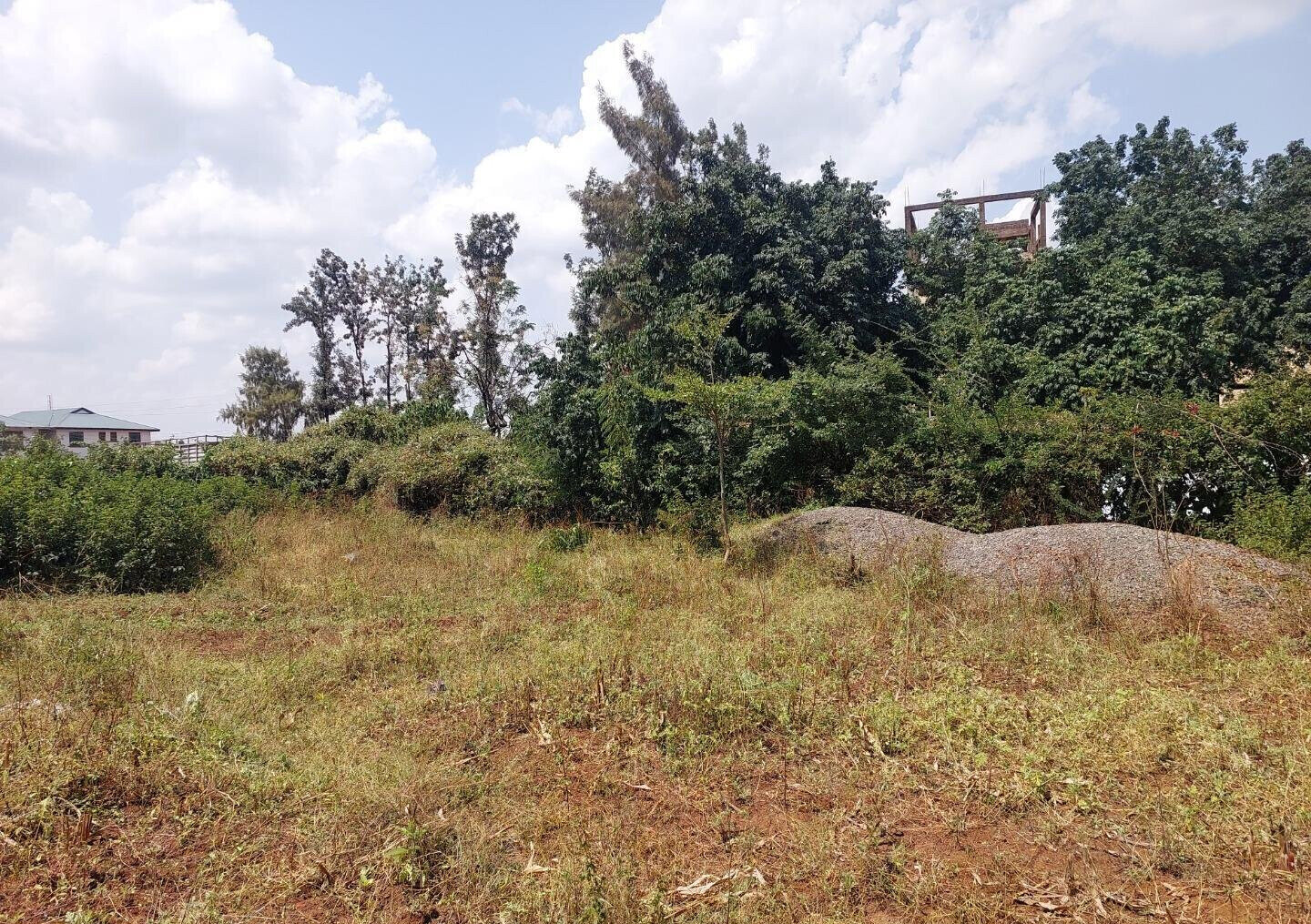 KSh 2.5M Mamboleo Plot