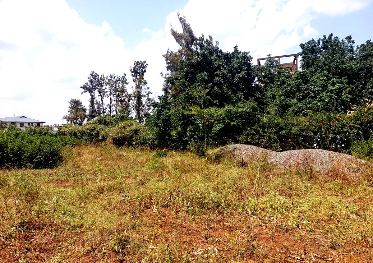 KSh 2.5M Mamboleo Plot