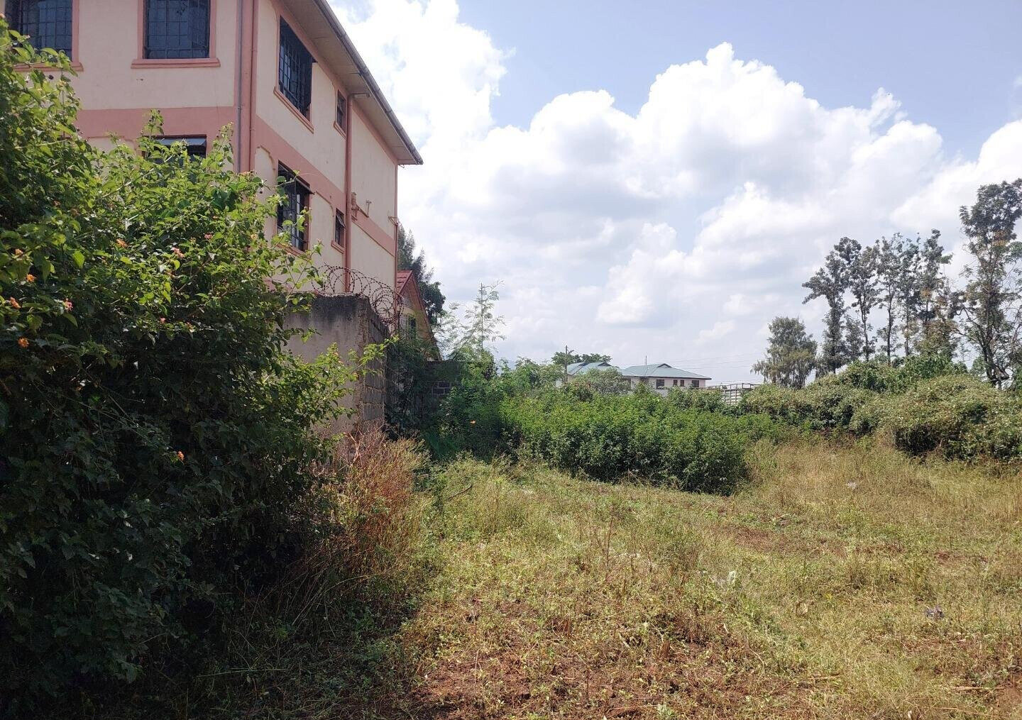 KSh 2.5M Mamboleo Plot