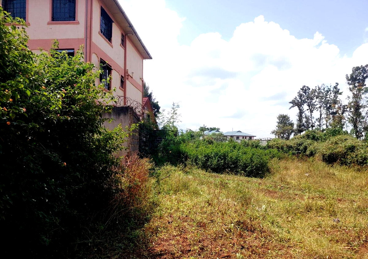 KSh 2.5M Mamboleo Plot