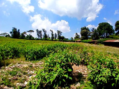 Very Prime Redsoil, Big 50 by 100 Plots in Kibiko, Ngong - Image 3