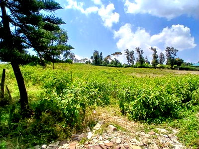 Very Prime Redsoil, Big 50 by 100 Plots in Kibiko, Ngong - Image 2