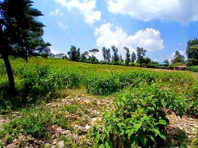Very Prime Redsoil, Big 50 by 100 Plots in Kibiko, Ngong - Image 1