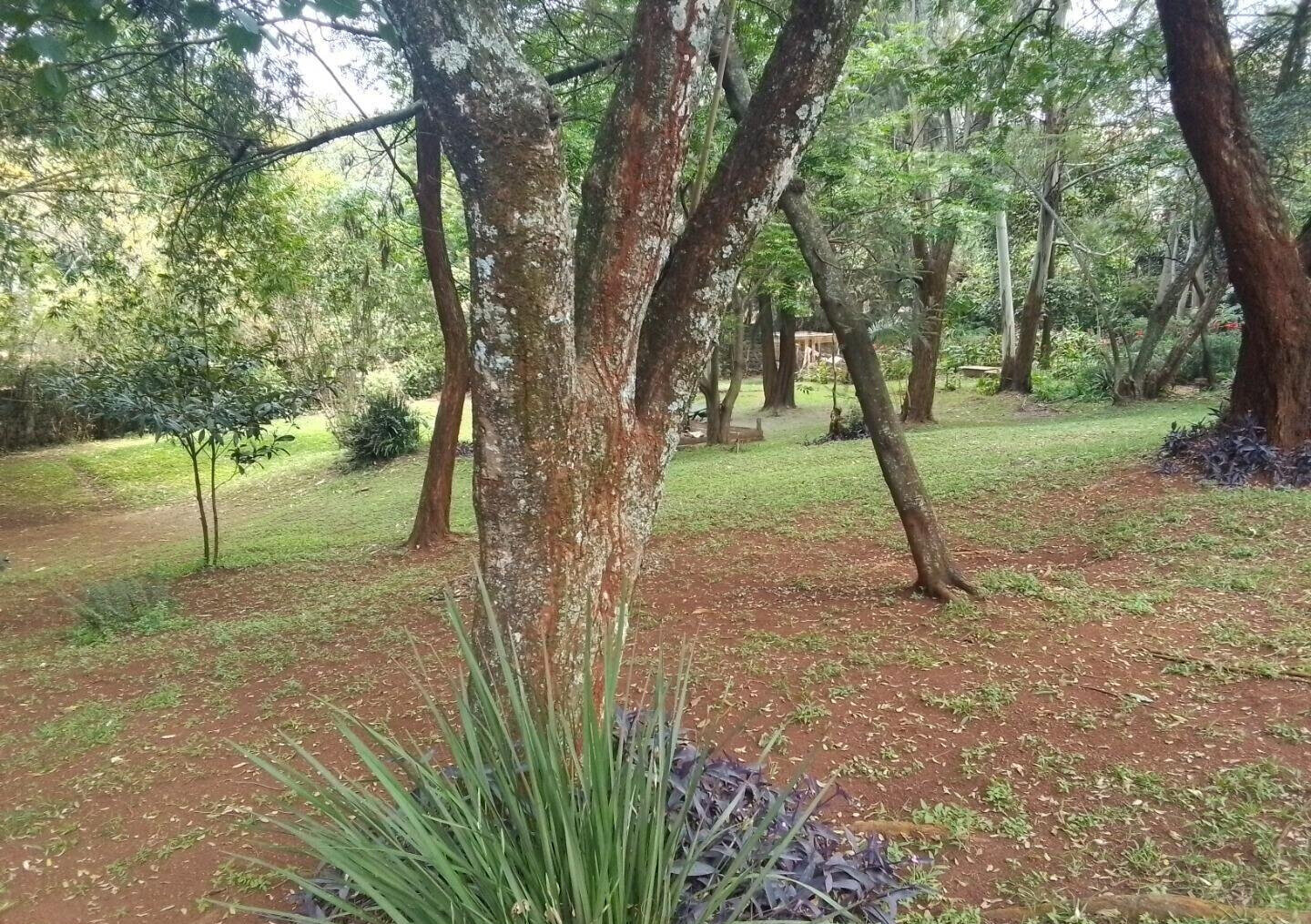 1.4-Acre Lavington Gem for KSh 280M