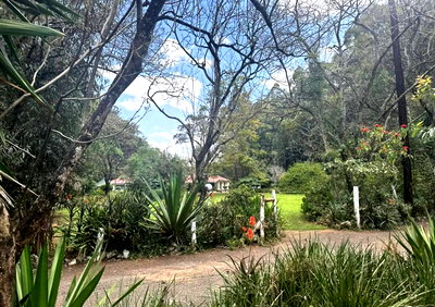 5-Acre Karen Garden Estate
