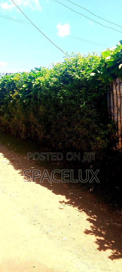 50ft by 100 Ft Prime Plot Gachie Kwa Jakai - Image 1