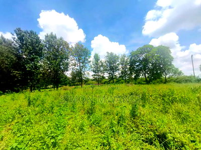 1/2 Acre Residential Land Off Kiambu Rd on Sale at 36m - Image 4