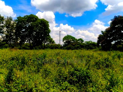 1/2 Acre Residential Land Off Kiambu Rd on Sale at 36m - Image 2
