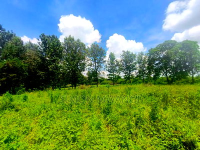 1/2 Acre Residential Land Off Kiambu Rd on Sale at 36m - Image 3