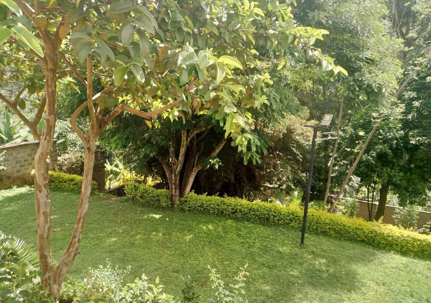 0.15 Acre 5BR Haven with Garden