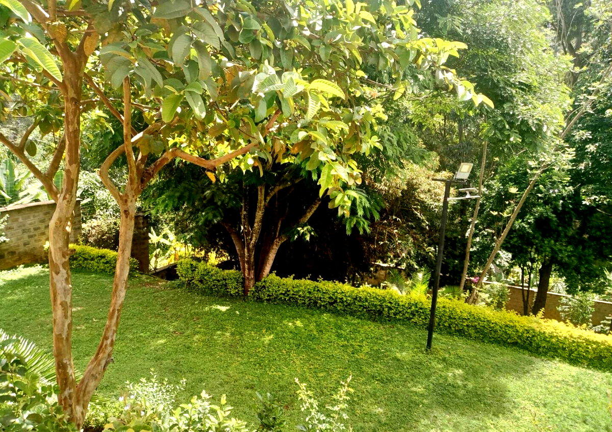 0.15 Acre 5BR Haven with Garden