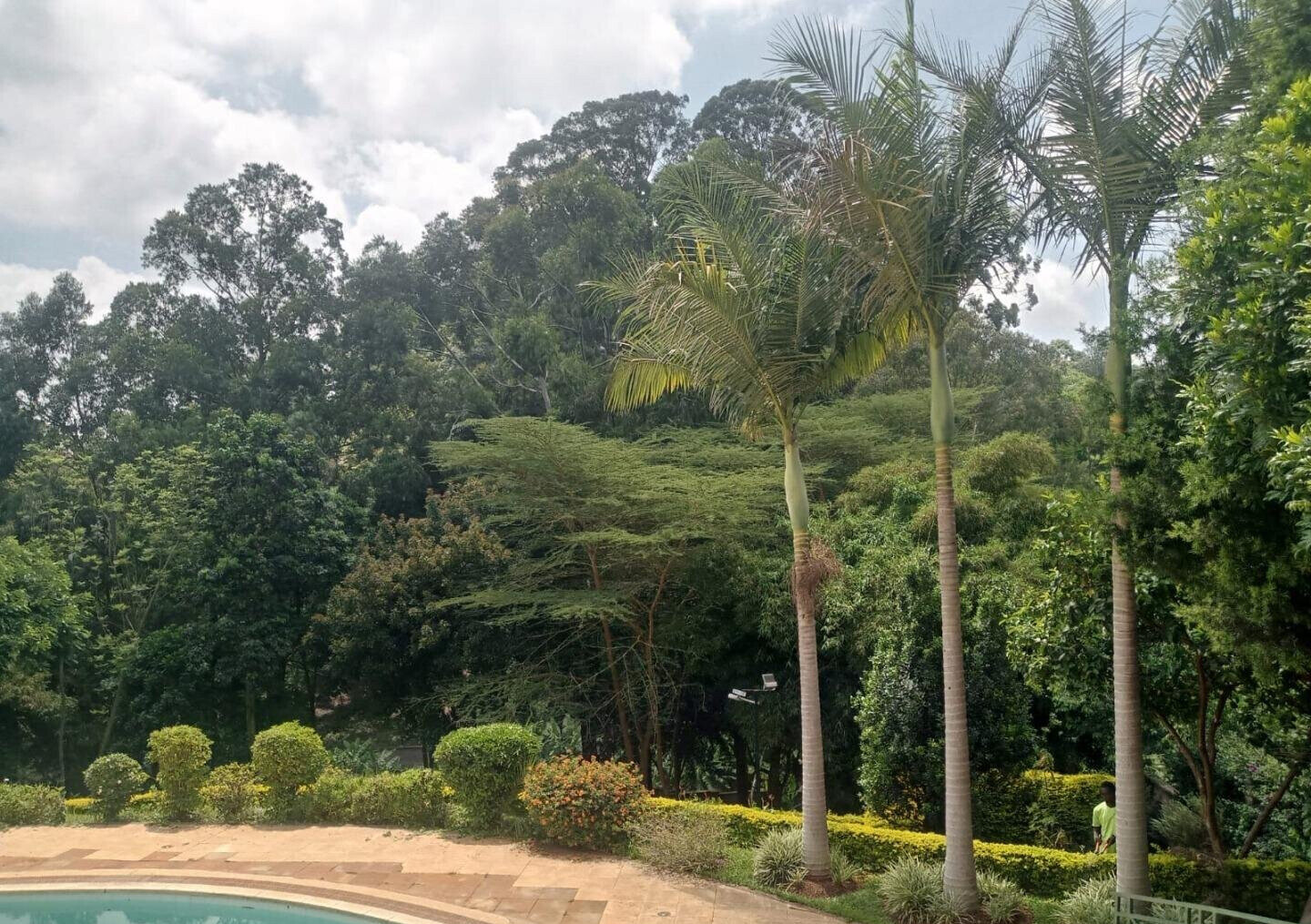 0.15 Acre 5BR Haven with Garden