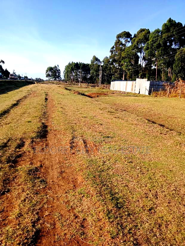 1/4 Plot Outspan Touching Tarmac Highway.